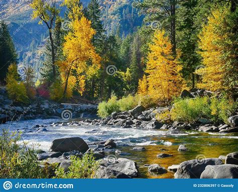 Fall Colors And Green Conifers In Tumwater Canyon Stock Image Image