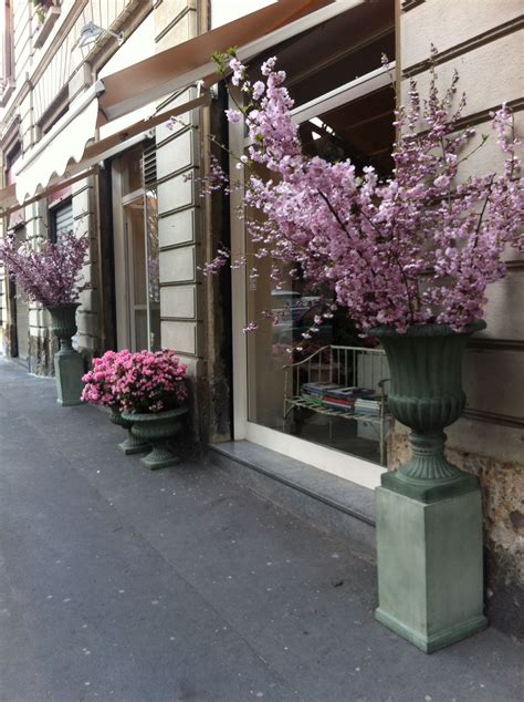 Fiori The Best Flowers Shop In Milan Via Vincenzo Monti Amazing