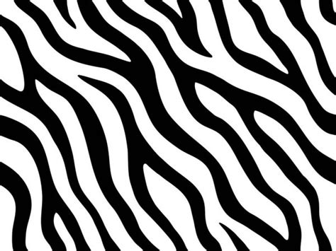 Zebra Stripes Seamless Pattern Stock Vector Image By ©bluezace 43861305