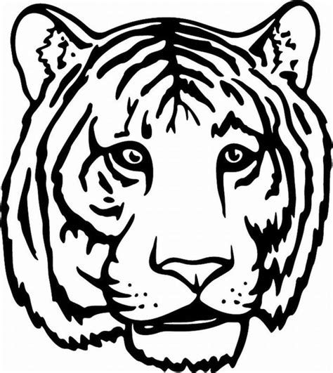 Морда тигр рисунок раскраска 43 фото рисунки для срисовки на Газ