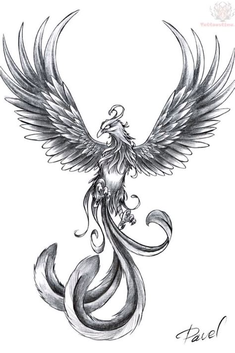 Phoenix A Symbol Of Energy And Rebirth Phoenix Bird Tattoos Phoenix