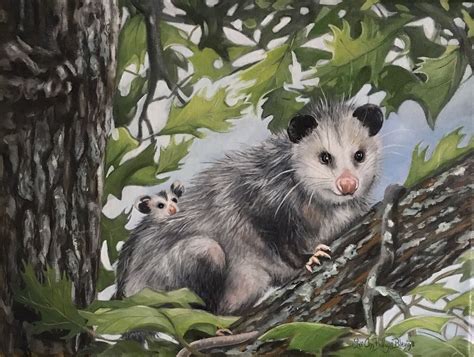 Possum Painting By Lee Ann Billups Blevins Painting Cute Animals
