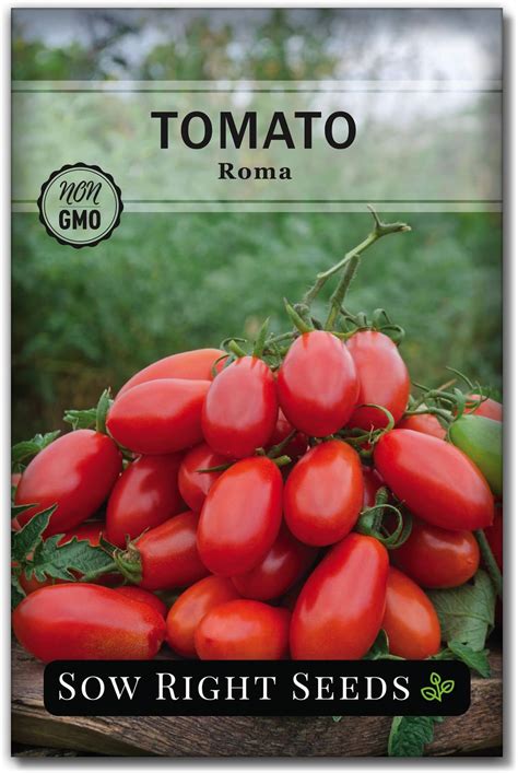 Burpee Brandywine Pink Tomato Seeds 90 Seeds Patio Lawn