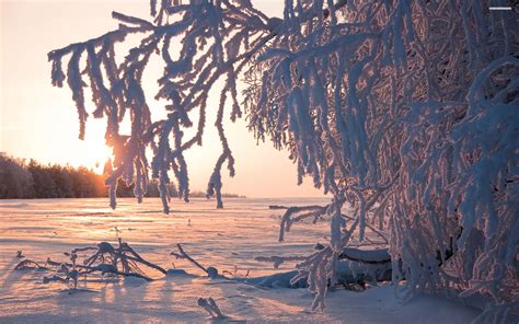 Beautiful Winter Sunrise On The Field Walldevil