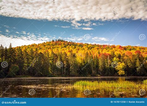 Calm River With Colorful Mountain Foliage In Background Stock Photo