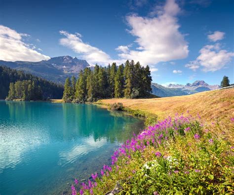 Colorful Summer Morning On The Champferersee Lake Stock Photo Image