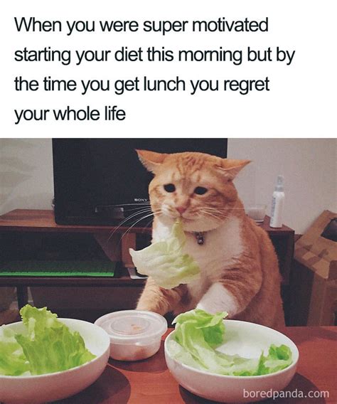 30 Of The Funniest Weight Loss And Diet Memes