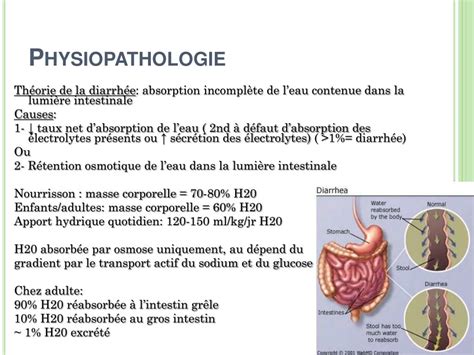 Ppt La Diarrhée Chronique En Pédiatrie Powerpoint Presentation Free