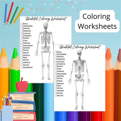 Hojas de trabajo para colorear del sistema esquelético huesos