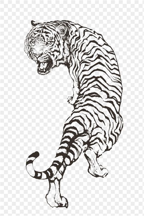 Hand Drawn Roaring Tiger Overlay Free Png Sticker Rawpixel