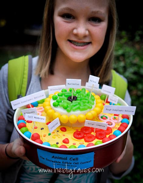 Perfect Imperfection Incredible Edible Cell