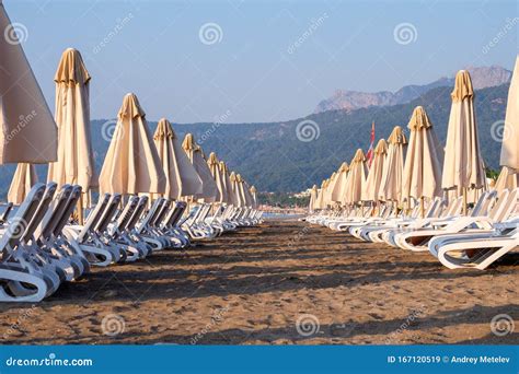 Rows Of Sun Loungers On The Beach And Umbrellas On The Sand Gray Blue