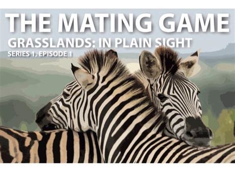 The Mating Game Ep1 Worksheet Teaching Resources