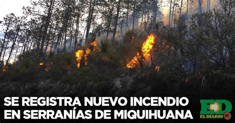 Se Registra Nuevo Incendio En Serranías De Miquihuana El Diario MX