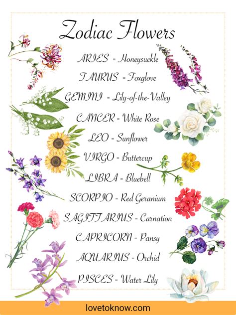 Discovering Your Zodiac Signs Flowers Lovetoknow Birth Flower