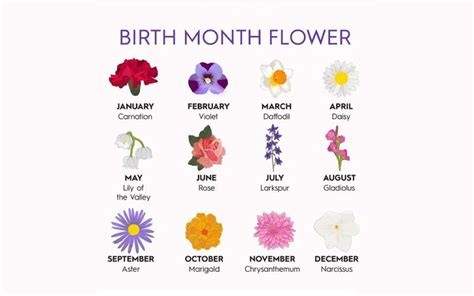 List Of Flowers For Birthday Months Best Flower Site