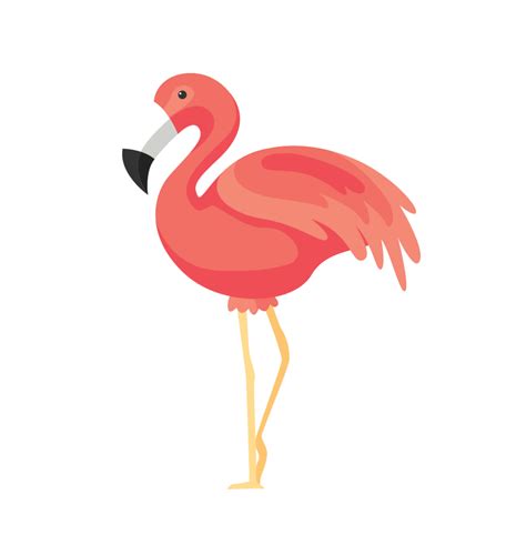 Flamingo Png Transparent Background Images