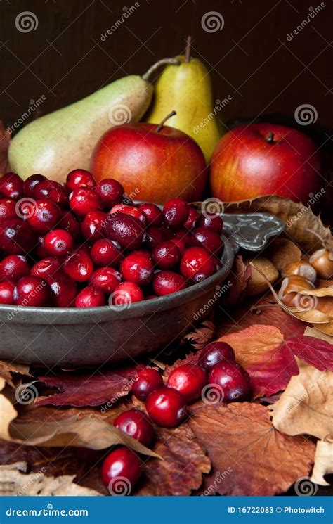 Apples And Cranberries Stock Image Image Of Cranberries 16722083