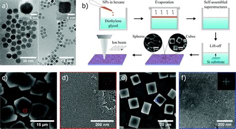 Focused Ion Beam Milling Of Self Assembled Magnetic Superstructures An