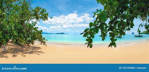 Blue Sea Blue Sky And Paradise Tropical Beach Stock Photo Image Of