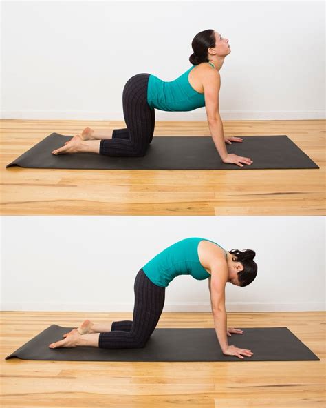 The cat/cow pose link movement with the breath and help to release tension from the spine, shoulders and neck as well as activating the abdominal muscles. Cat Cow | Relaxing Evening Yoga Sequence | POPSUGAR ...