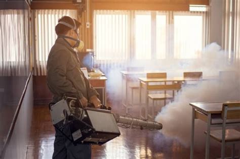 On that note, the operators of the businesses are expected to take effective pest control measures for the sake of hygiene and. The average Melbourne food authority on the spot fine for ...
