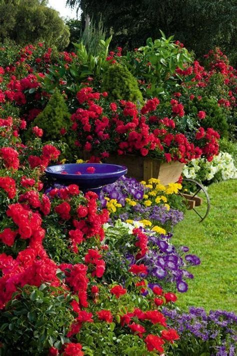 Красиви градини с цветя снимки и идеи Lazarabg