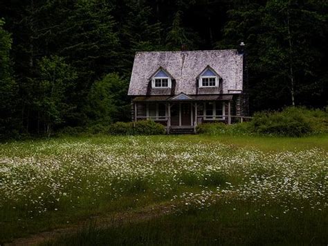 Maybe you would like to learn more about one of these? My little house, in my little meadow, in my little forest ...