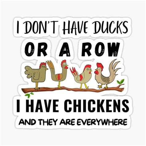I Don T Have Ducks In A Row I Have Chickens And They Are Everywhere Sticker By Zberbar Redbubble