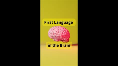 Polyglots And Hyperpolyglots First Language In The Brain Youtube