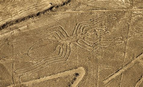 Giant tortoises, for example, can live more than 100 years, while bowhead whales can reach 200 years of age. Nazca Lines - HISTORY