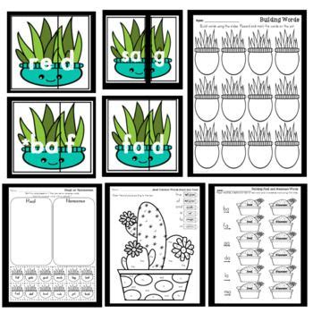 Use students' word lists to assess their understanding of reading and identifying real and nonsense. Pin by Daven Designs on ***Educational Ideas and ...
