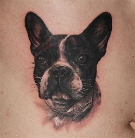 The 10 Coolest Boston Terrier Tattoo Designs In The World Boston