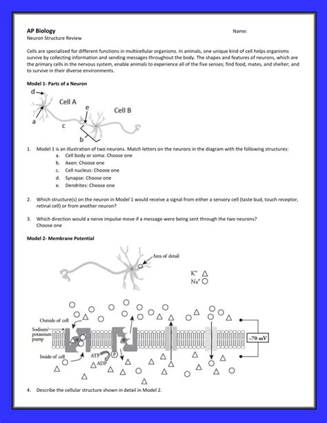 Learn everything an expat should know about managing finances in germany, including bank accounts, paying taxes, getting insurance and investing. AP Biology Name: Neuron Structure Review Cells are specialized