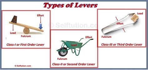 Types Of Levers First Second And Third Order Examples Selftution