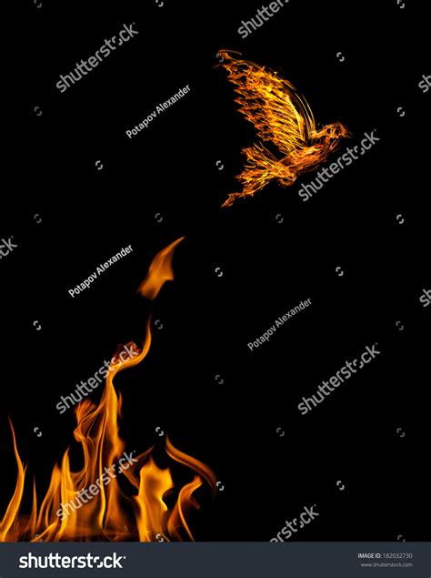 Flame Dove Flying Yellow Fire Isolated Stock Photo 182032730 Shutterstock