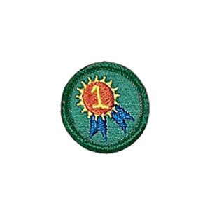 Huntington Beach Girl Scout Troop Being My Best Patch