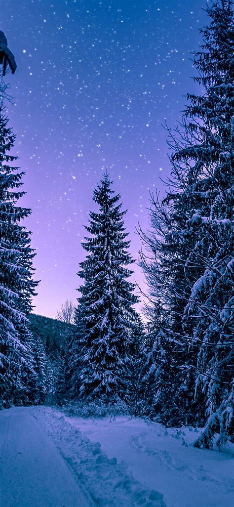 Free Download Winter Background Wallpaper 1125x2436 For Your Desktop