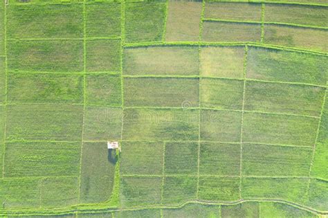 Cultivated Land And Land Plot Or Land Lot In Aerial View Stock Image
