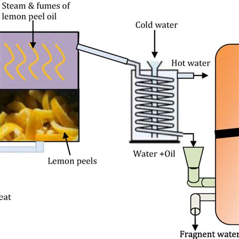Steam Distillation Process In The Preparation Of Lemon Peel Oil