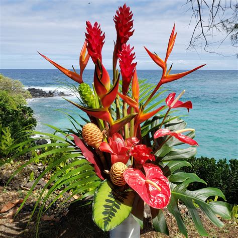 Premium Tropical Mix Large Hana Tropicals Buy Tropical Flowers