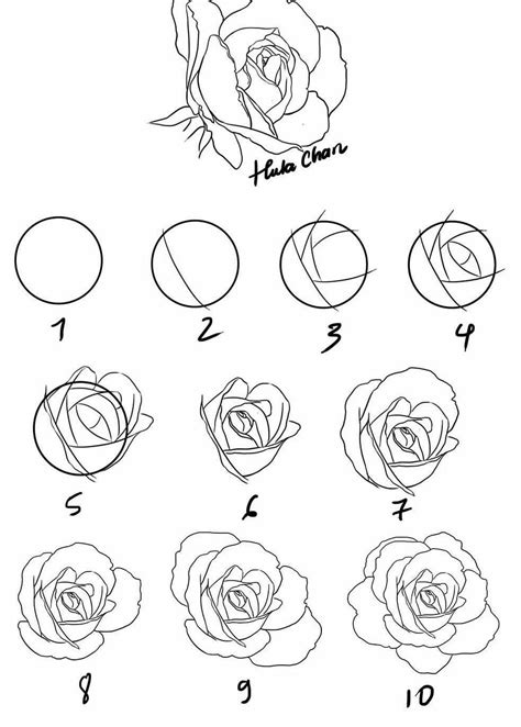 How To Draw A Realistic Rose For Beginners How To Draw Rose By Simple