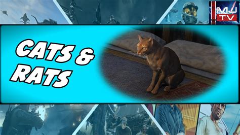 Eso Pet Cats And Rats The Elder Scrolls Online Ultra 1080p Youtube