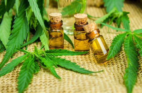 10 cannabis oil benefits that will blow your mind