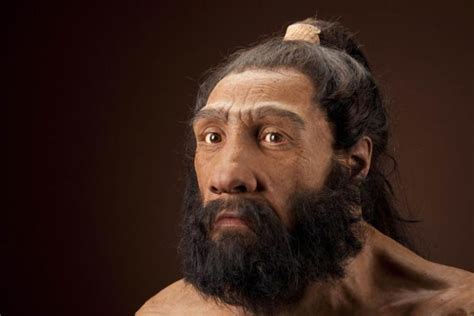 Ancestors Of Modern Humans Interbred With Extinct Hominins Study Finds