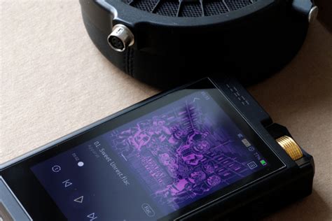 Page 1 user manual beijing infomedia electronic technology co., ltd. Review: Lotoo PAW Gold Touch - The Professional - Headfonia Reviews