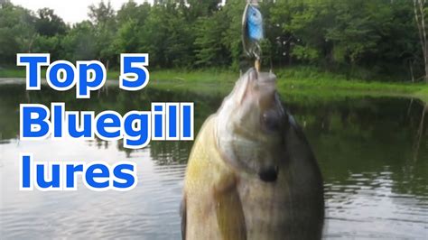 Best 5 Lures For Bluegill And Panfish Tips And Techniques Youtube
