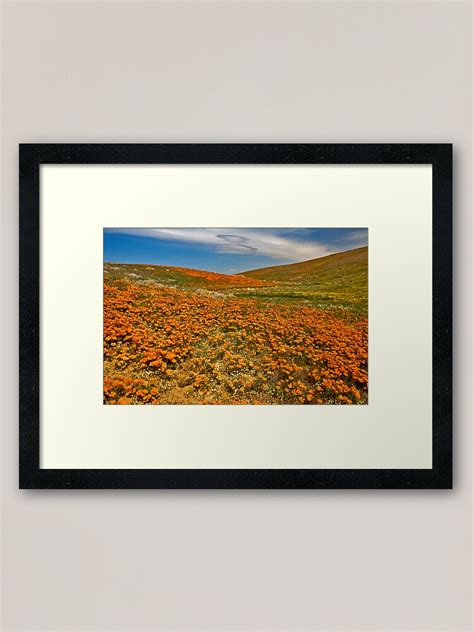 Lancaster Poppy Fields Framed Art Print For Sale By Photosbyflood Redbubble