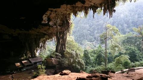 A Hidden Gem Review Of Niah Caves Miri Malaysia Tripadvisor