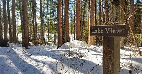 In This Northwoods Forest Snow And Serene Skiing Are Guaranteed